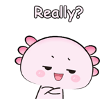 843511691