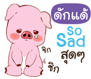 843518562