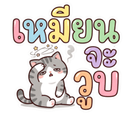 843521506