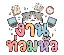 เหมียว เหมียว คำโต รูปที่ 26