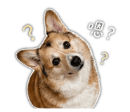 843522573