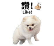 843522854