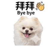 843522863