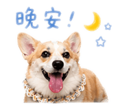 843523196
