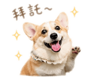 843523205