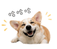843523206