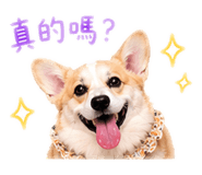 843523212