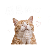 843523253