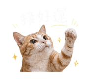 843523255