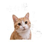 843523260