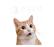 843523267