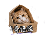 843523275
