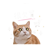 843523276