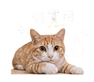 843523277