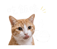 843523288