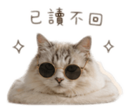 843523841