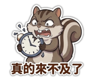 843523891
