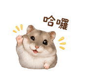843523921