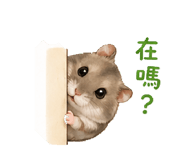 843523930