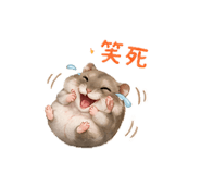 843523933