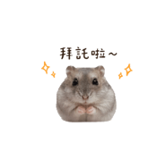 843523943
