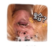843524370