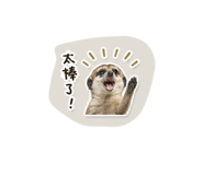 843524494