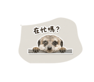 843524503