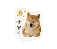 843524804
