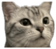 843524823
