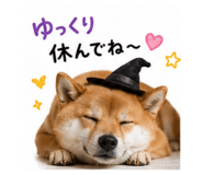 843525322