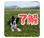 843525650