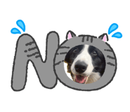 843525651