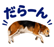 843525689