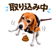 843525698