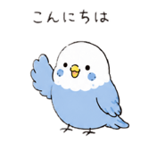 843525937