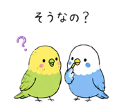 843525948