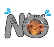 843525989