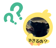 843526199