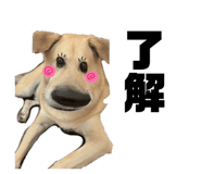 843526369
