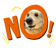 843526372