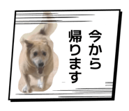 843526373