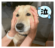 843526381