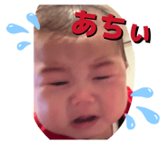 843526651