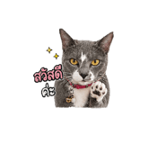 843526721