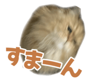 843526842