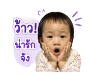 843527445
