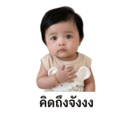 843527699