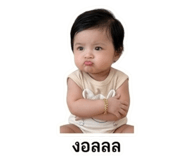 843527704