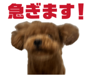 843528334